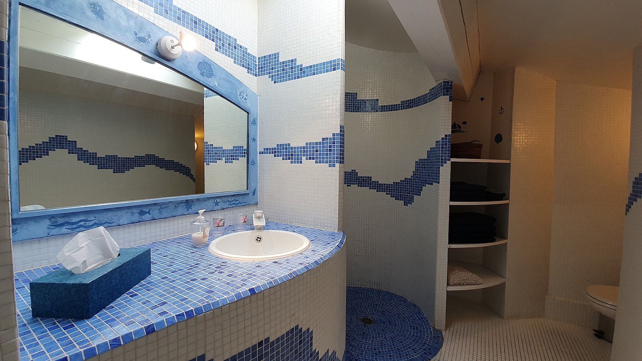 Photo of Bathroom in Saint-Andre-de-Roquelongue