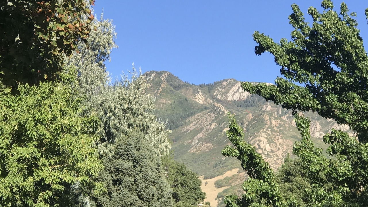 Photo of Others in Holladay