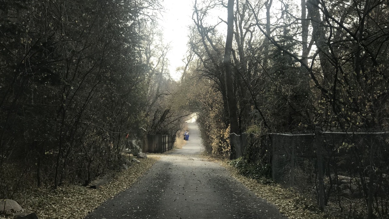 Photo of Others in Holladay
