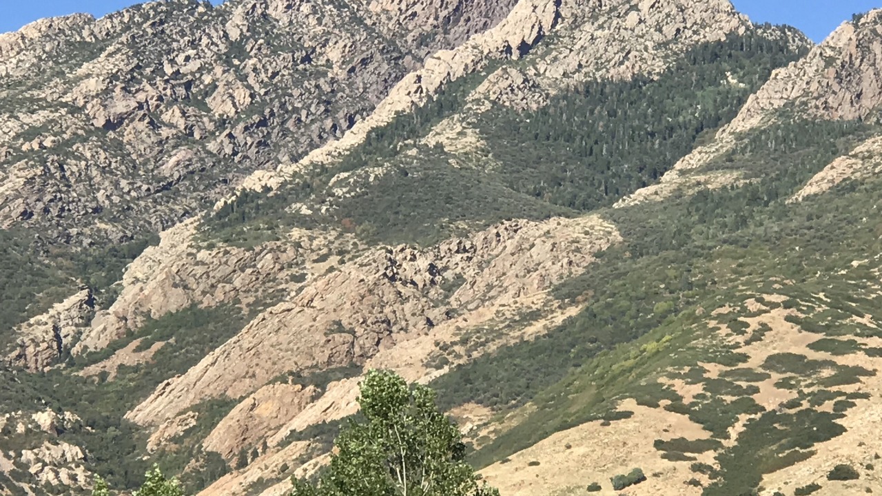 Photo of Others in Holladay