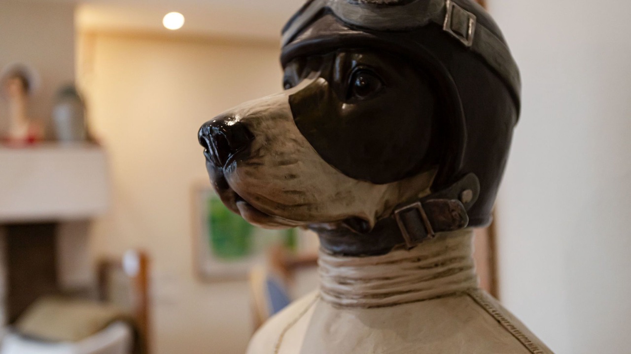 Photo of Bedroom in Tourgeville