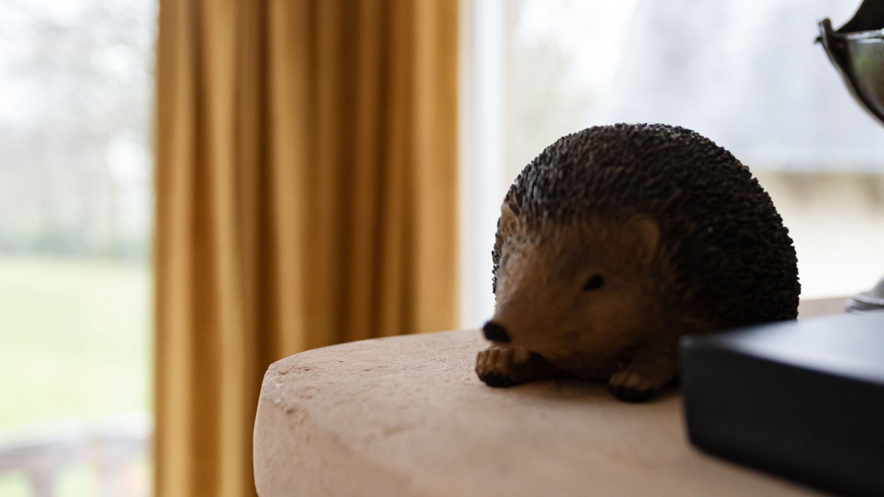 Photo of Outdoor in Tourgeville