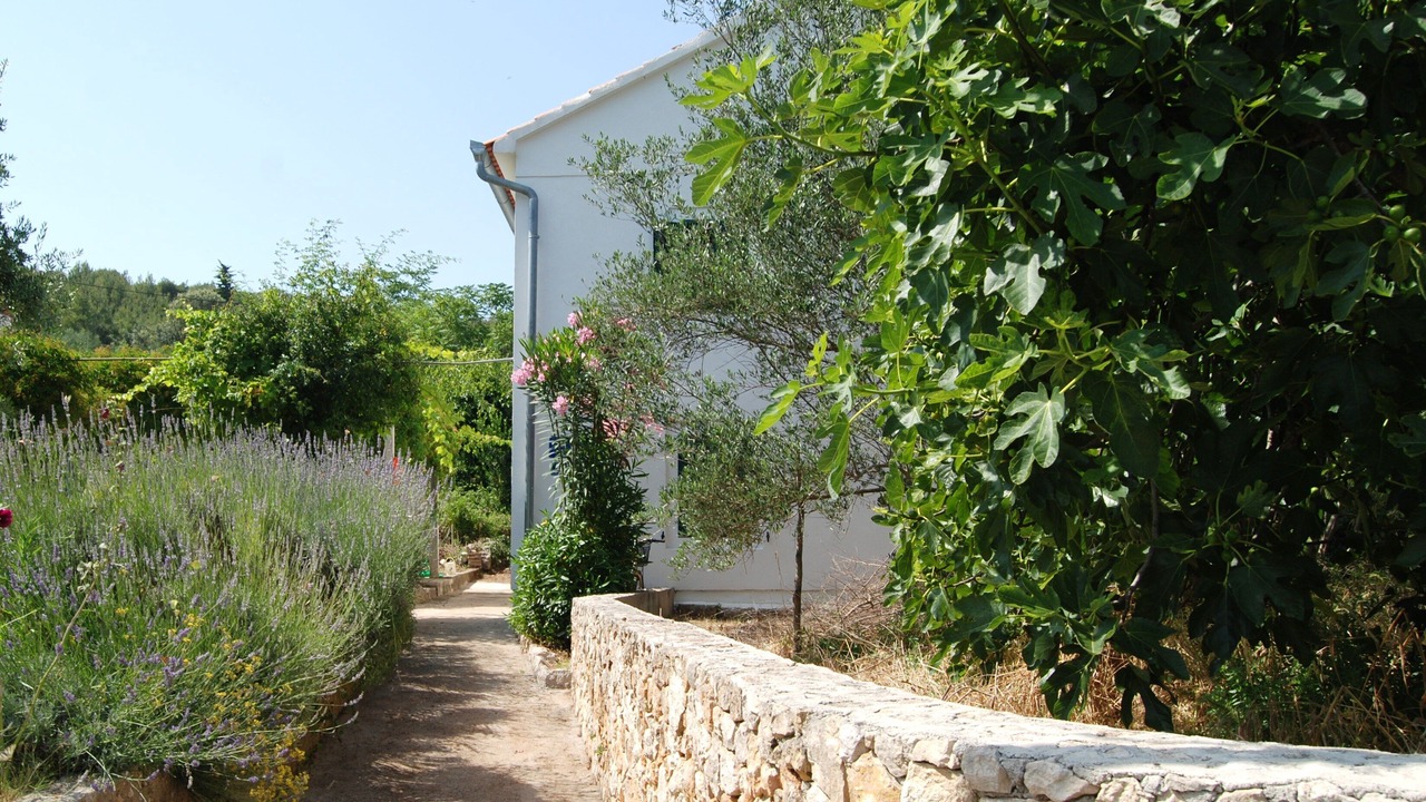 Photo of Outdoor in Lukoran