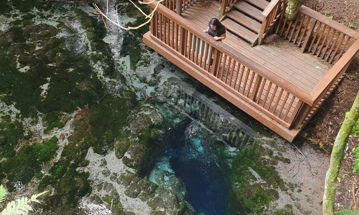 Photo of Outdoor in Richmond Downs