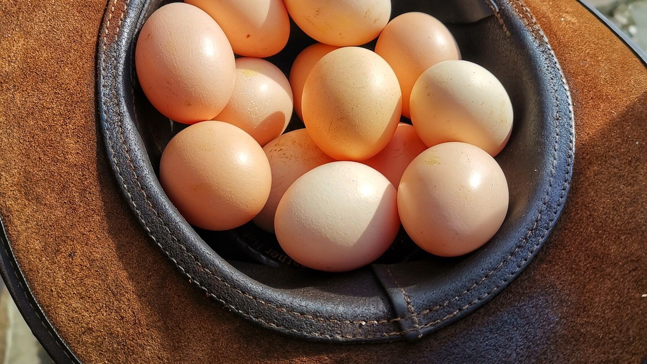 Photo of Others in Richmond Downs