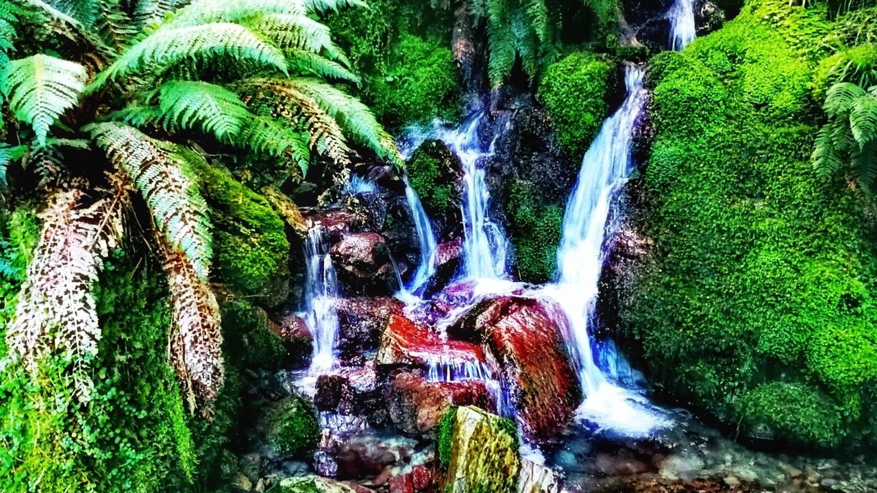 Photo of Outdoor in Richmond Downs