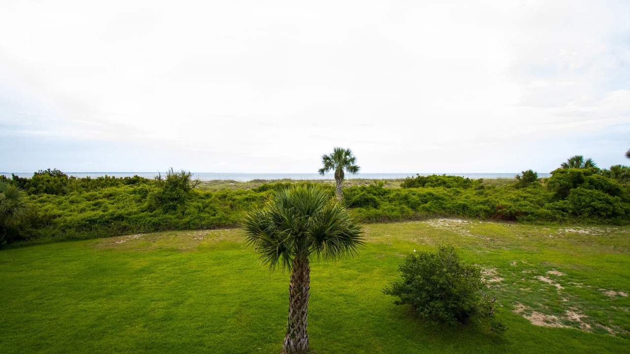 Photo of Others in Tybee Island