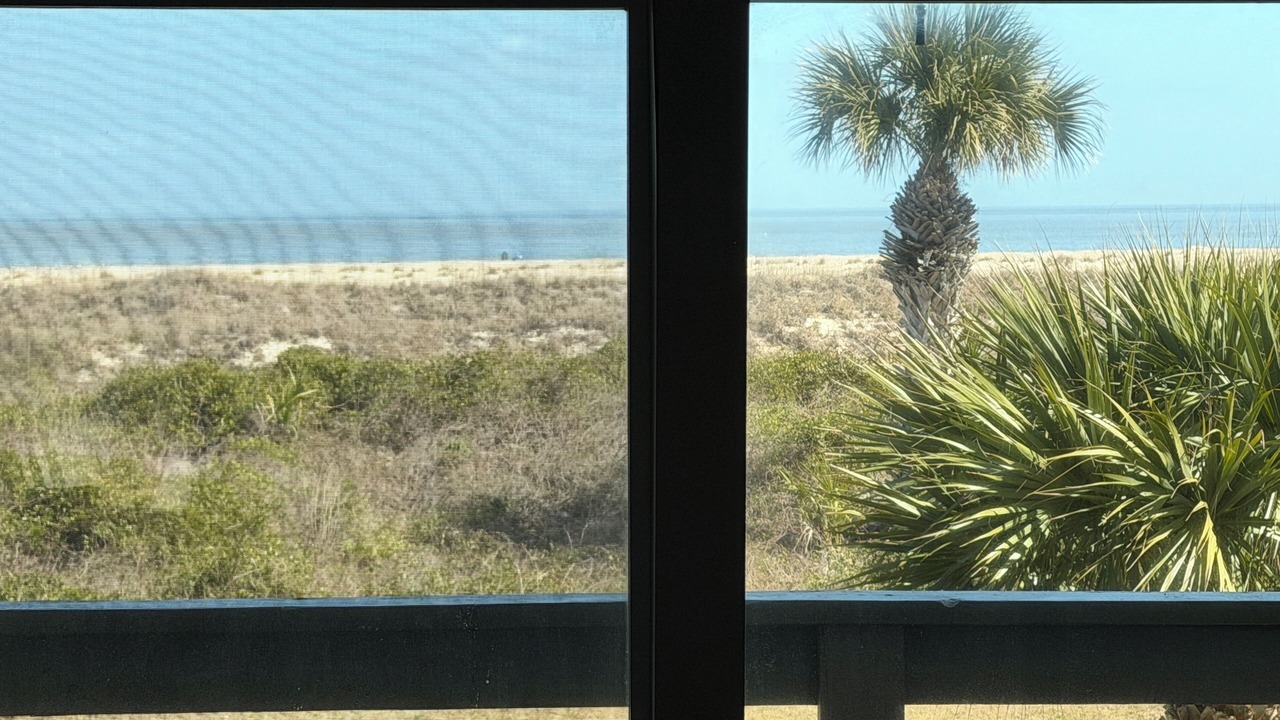 Photo of Others in Tybee Island