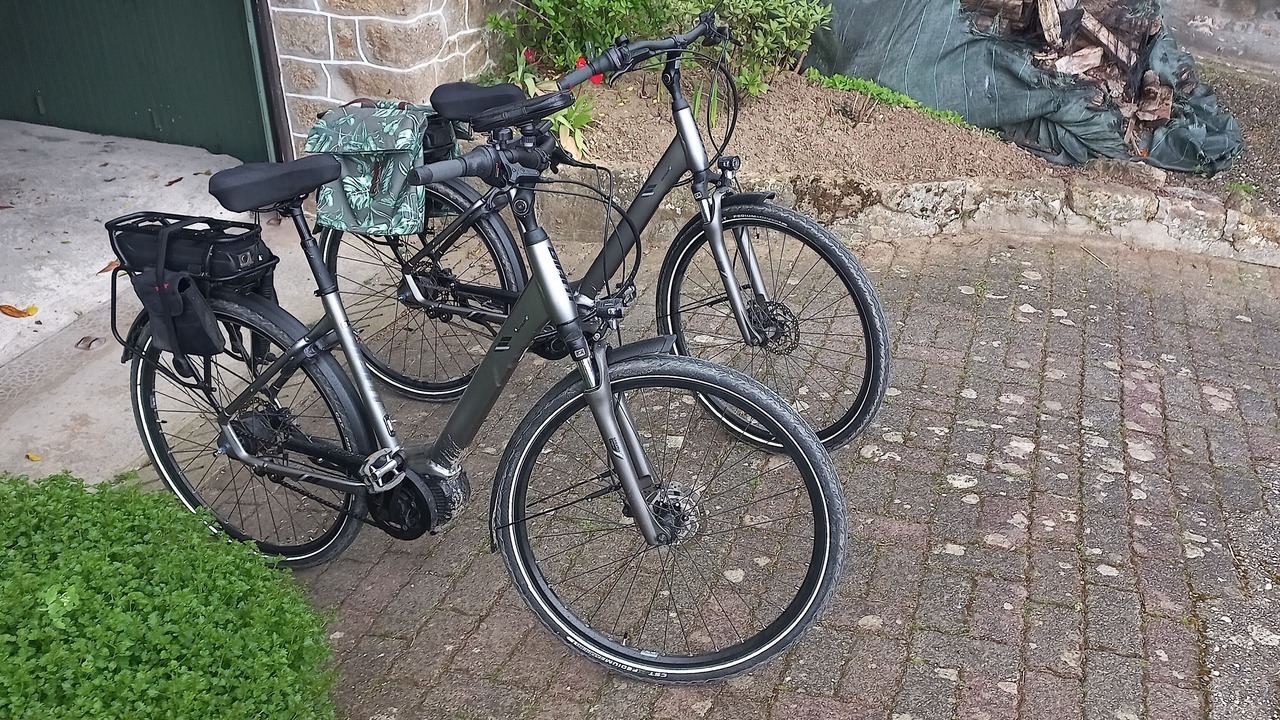 Photo of Outdoor in Saint-Mars-sur-Colmont