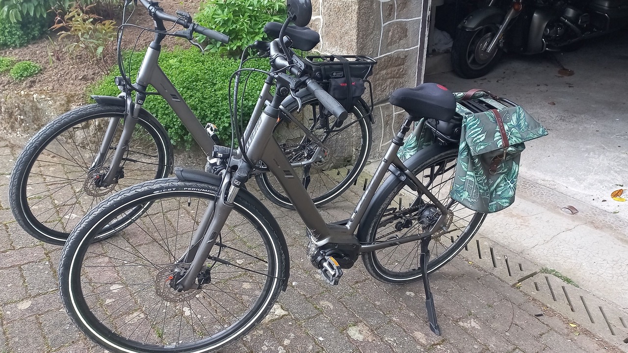 Photo of Outdoor in Saint-Mars-sur-Colmont