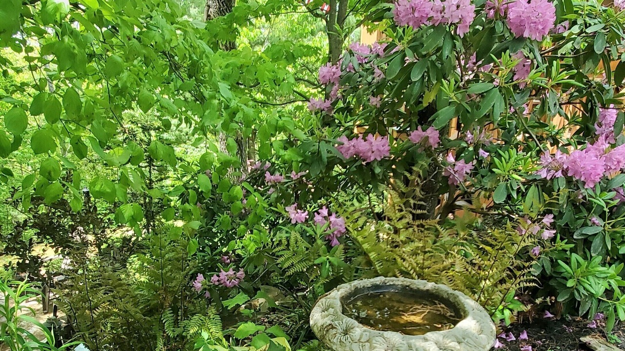 Photo of Outdoor in Chatsworth