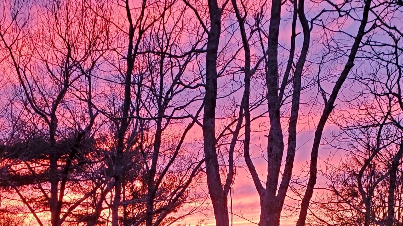 Photo of Others in Chatsworth