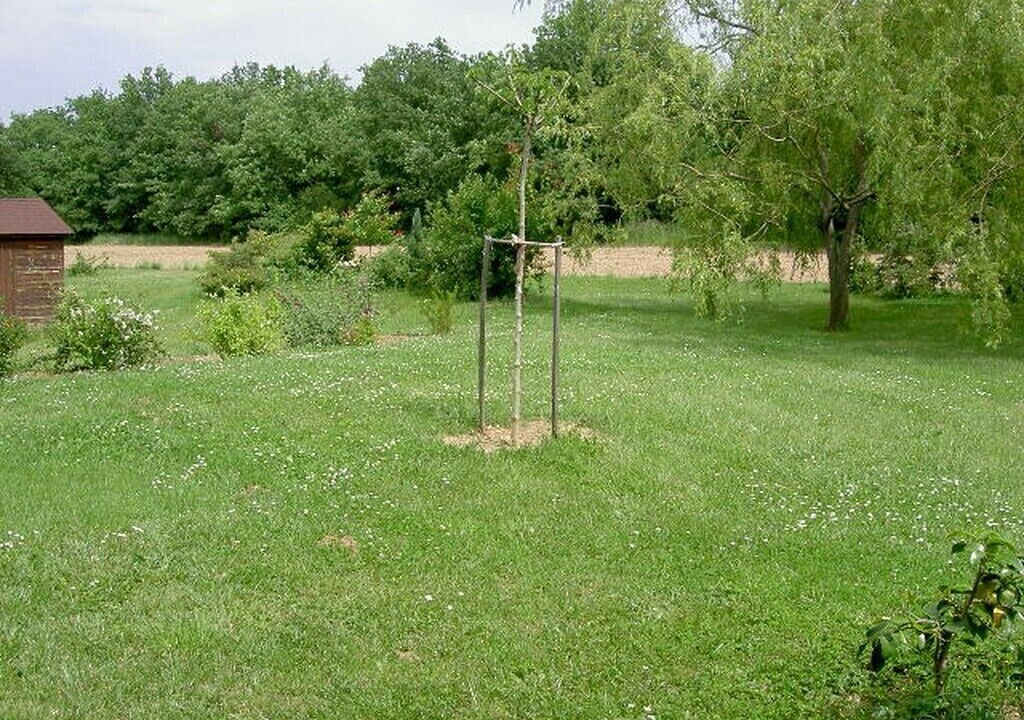 Photo of Outdoor in Labege