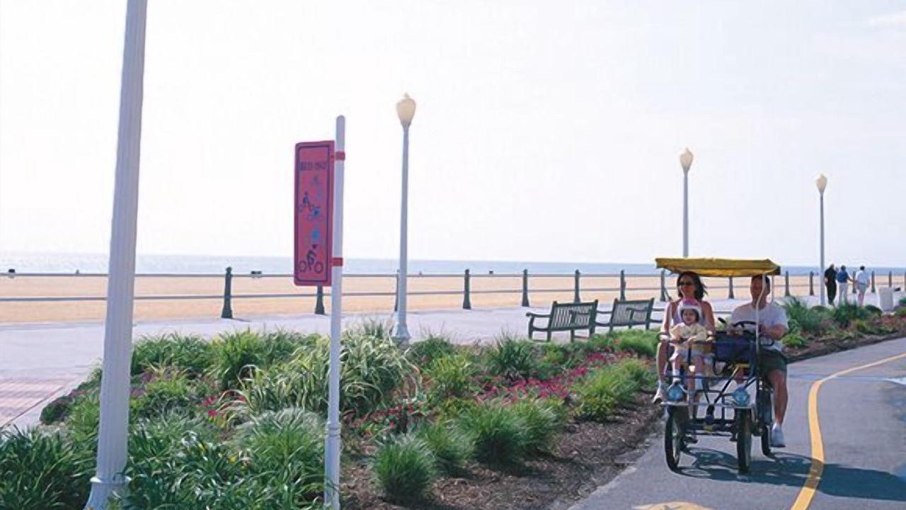 Photo of Others in Northeast Virginia Beach