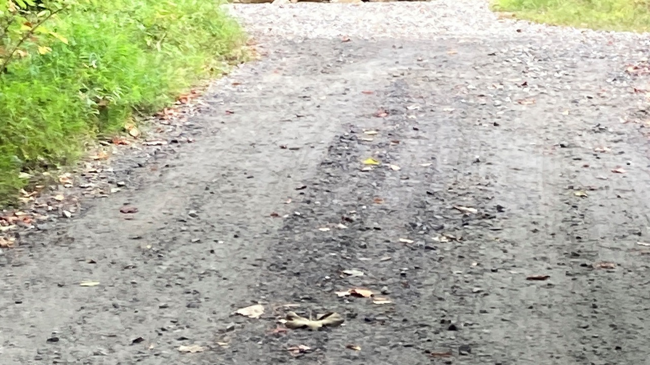Photo of Others in Bakersville