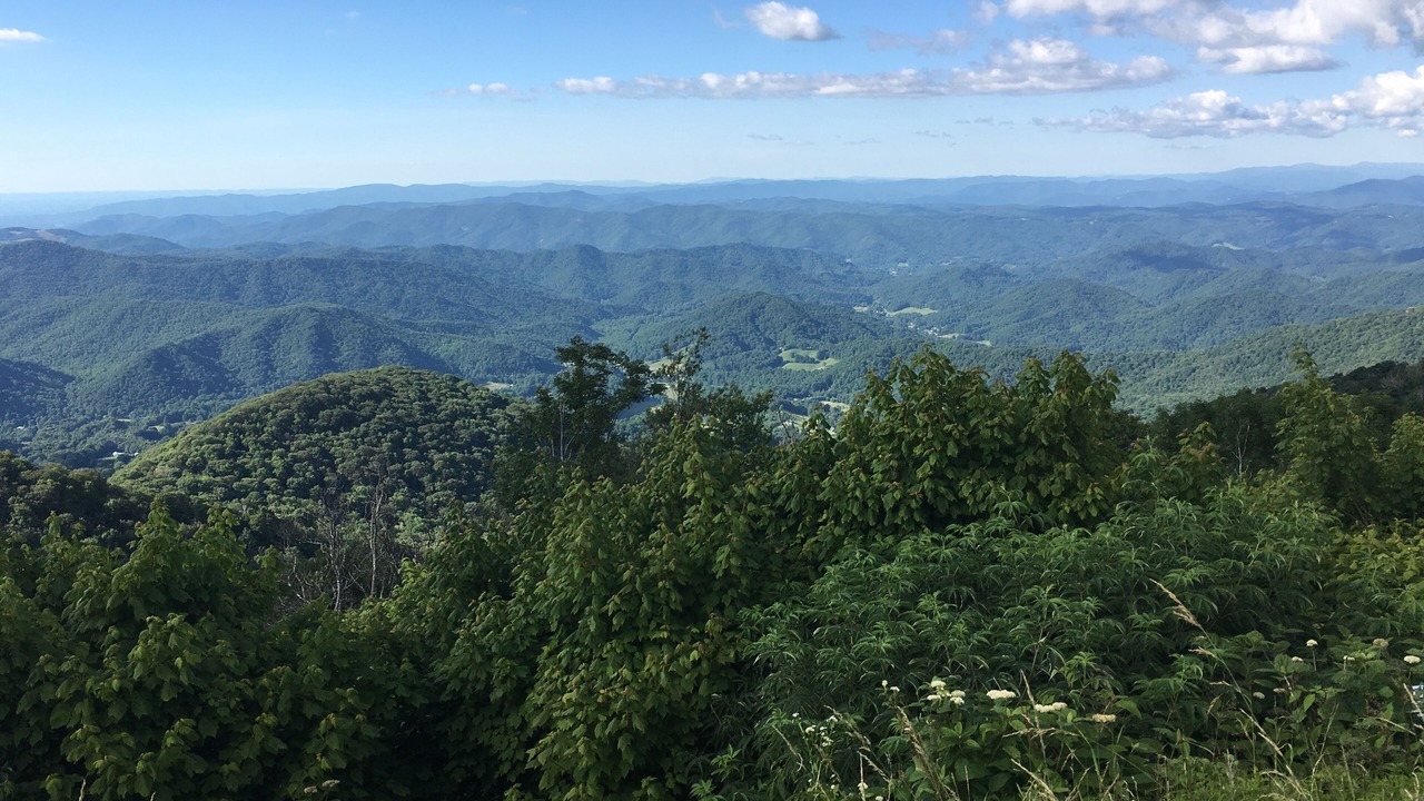 Photo of Others in Bakersville
