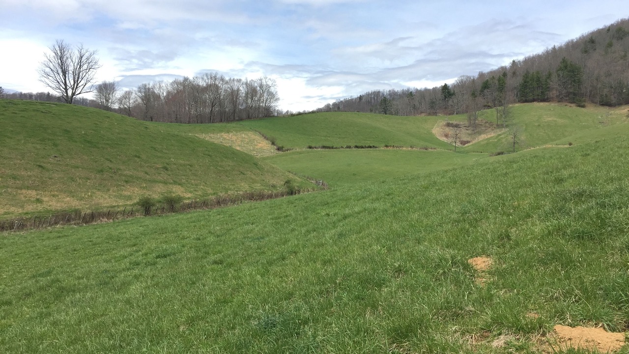 Photo of Others in Bakersville