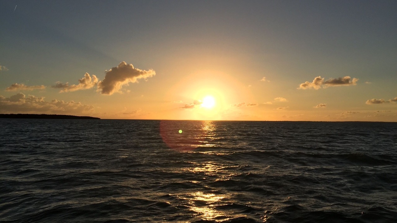 Photo of Others in Key Largo