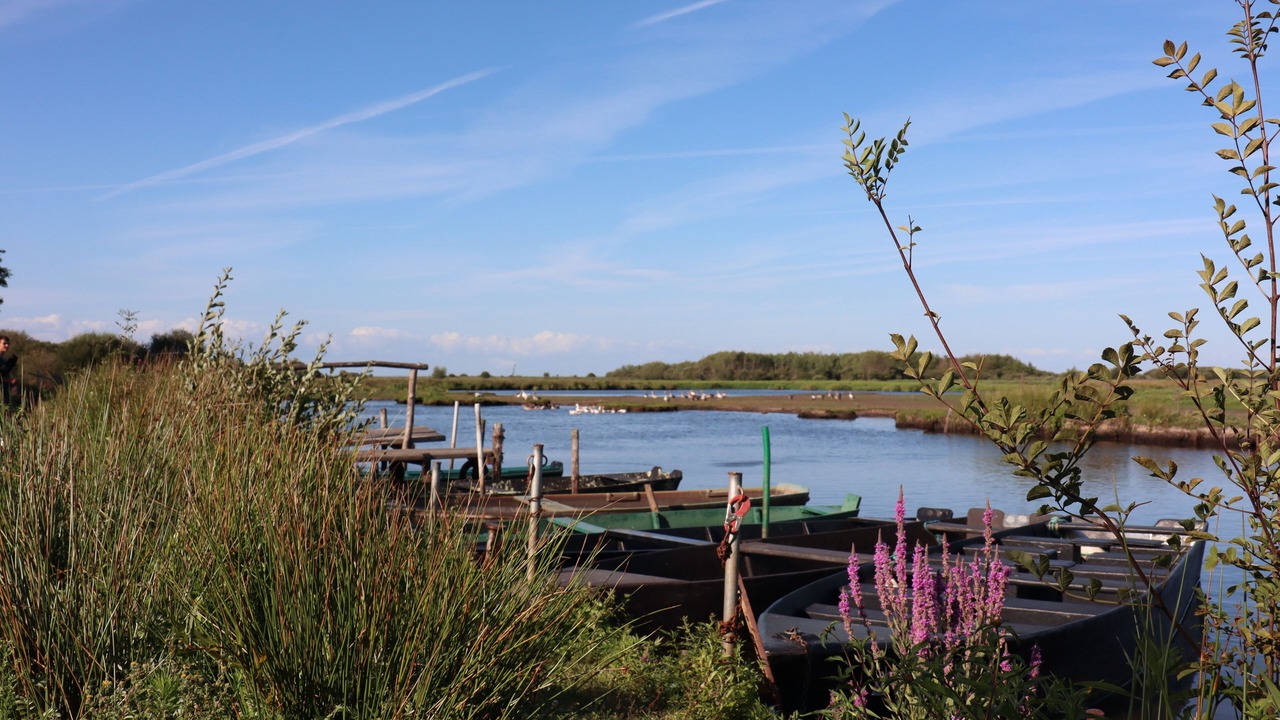 Photo of Others in Piriac-sur-Mer