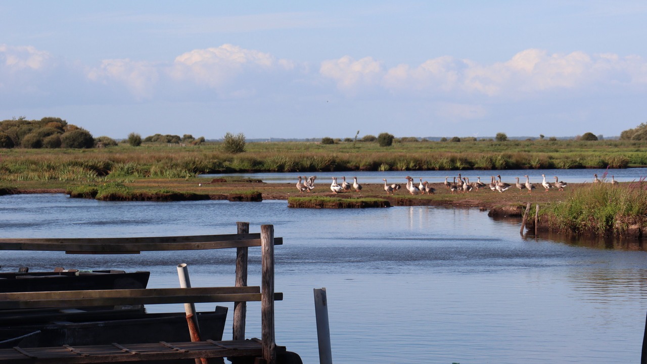 Photo of Outdoor in Piriac-sur-Mer