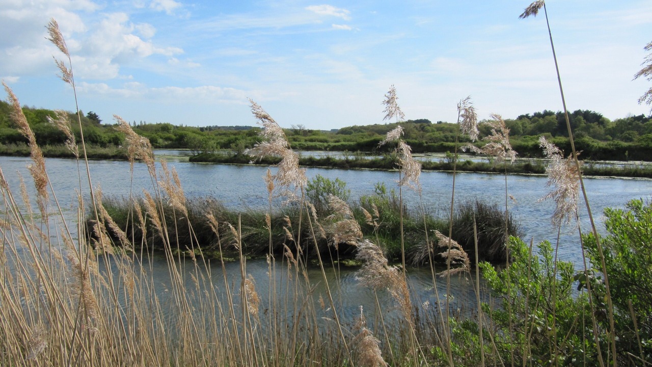 Photo of Outdoor in Piriac-sur-Mer