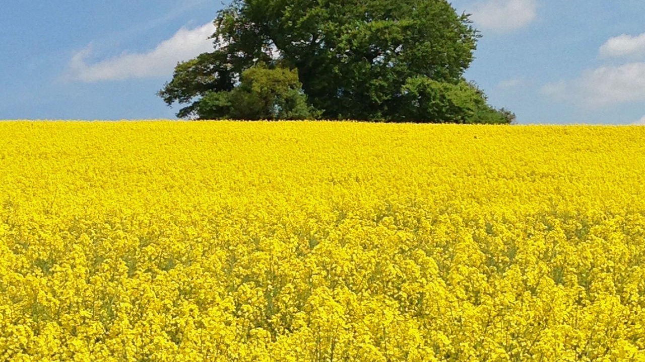 Photo of Others in Thatcham