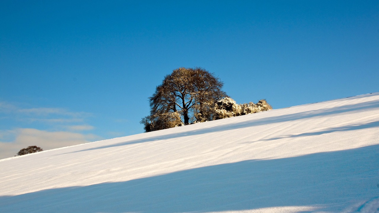 Photo of Others in Thatcham