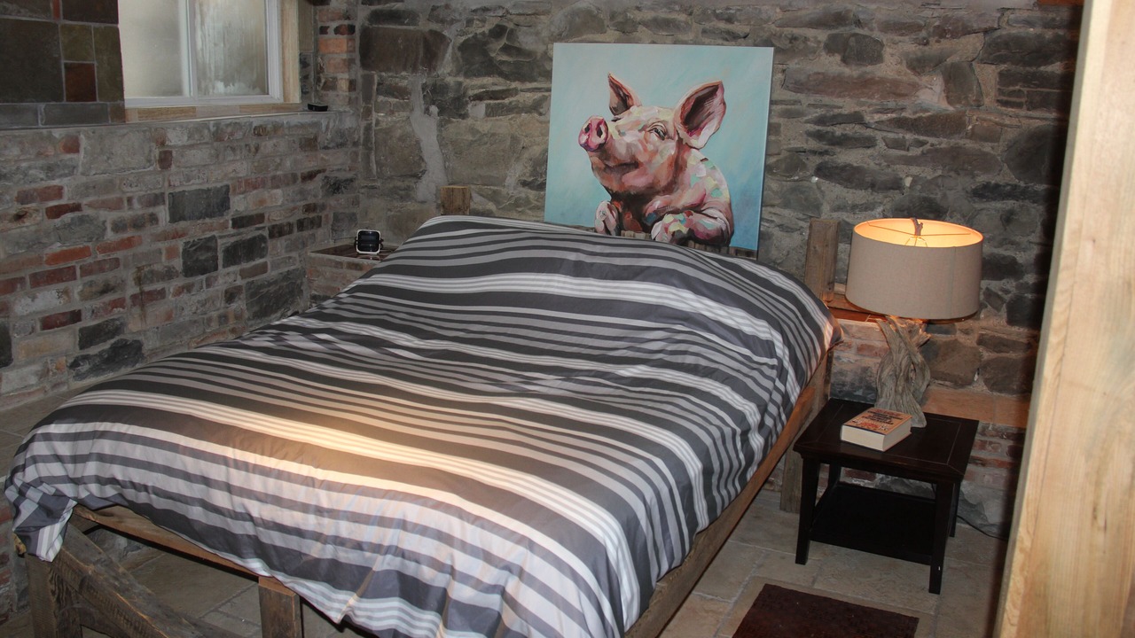Photo of Bedroom in Downtown St. John's