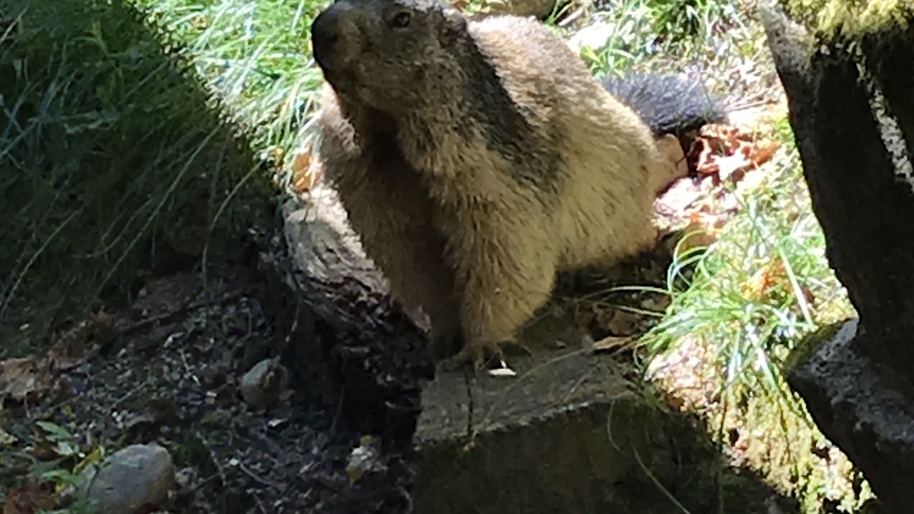 Photo of Outdoor in Gavarnie-Gedre