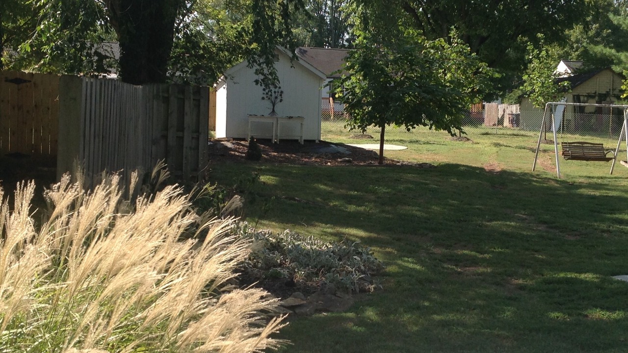 Photo of Others in Glencliff
