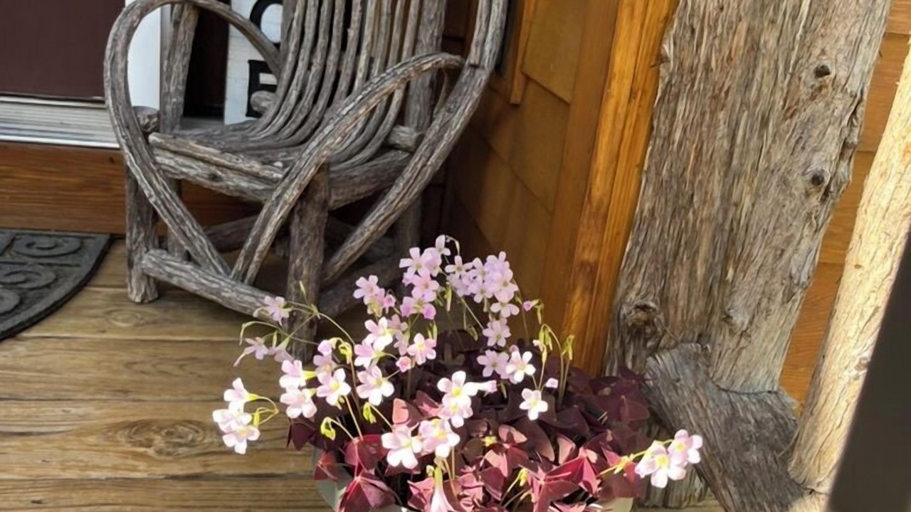 Photo of Outdoor in Saranac Lake