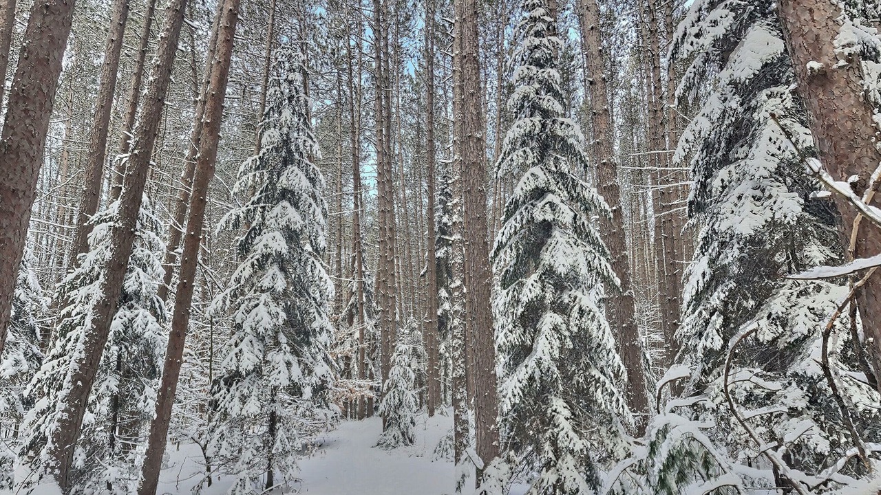 Photo of Others in Saranac Lake