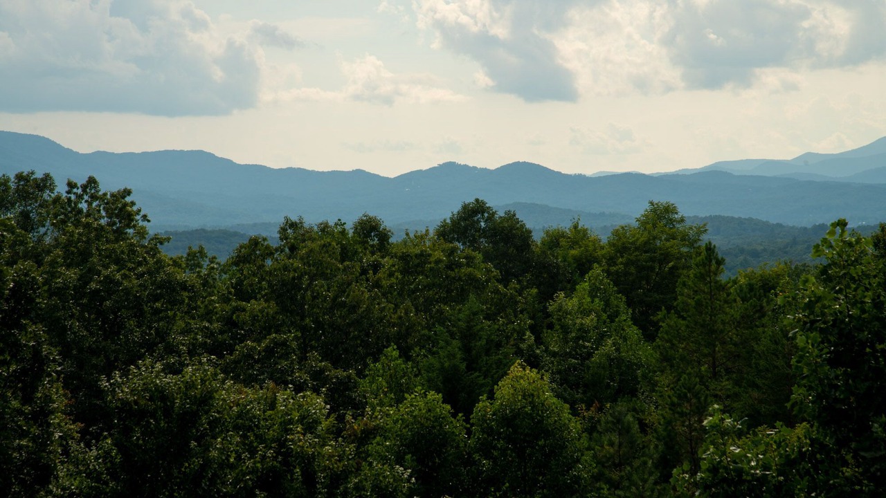 Photo of Others in Morganton