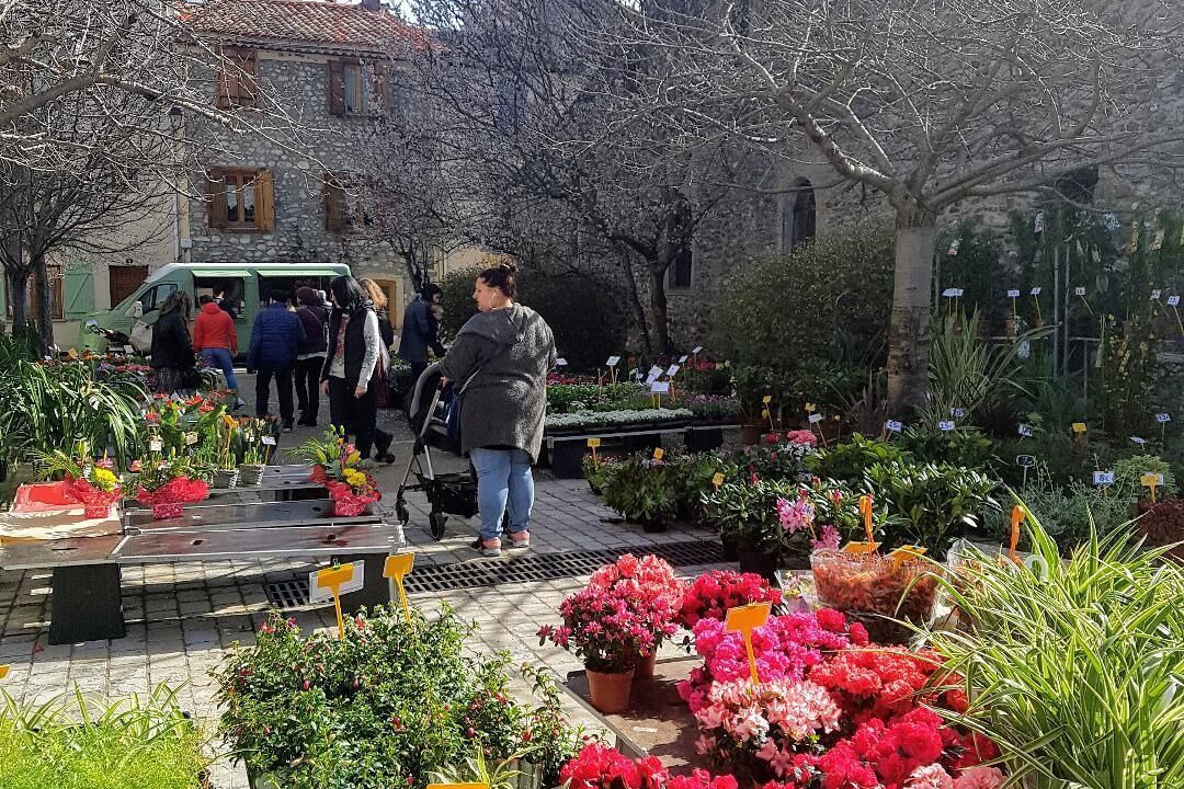 Photo of Outdoor in Quillan
