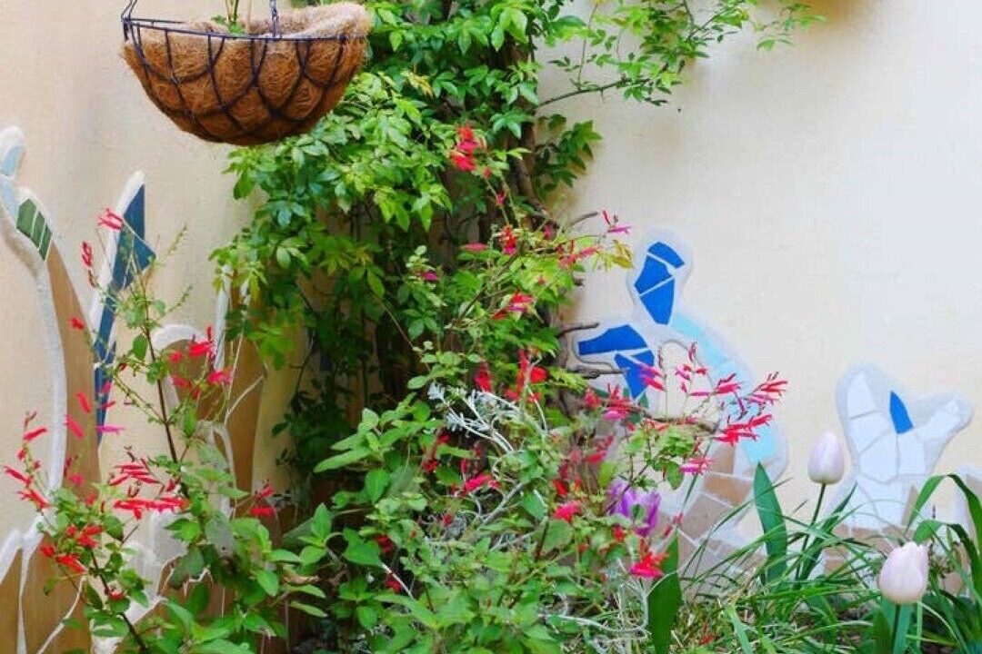 Photo of Outdoor in Prades