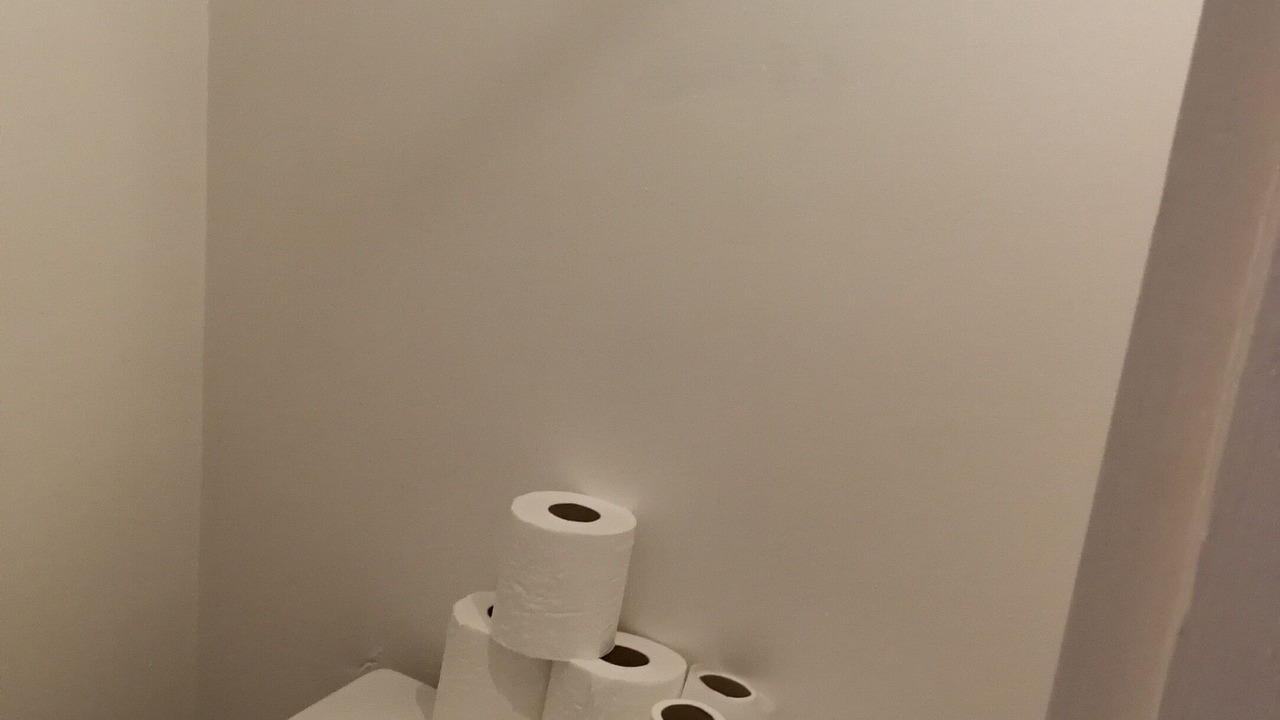 Photo of Bathroom in Saint-Alban