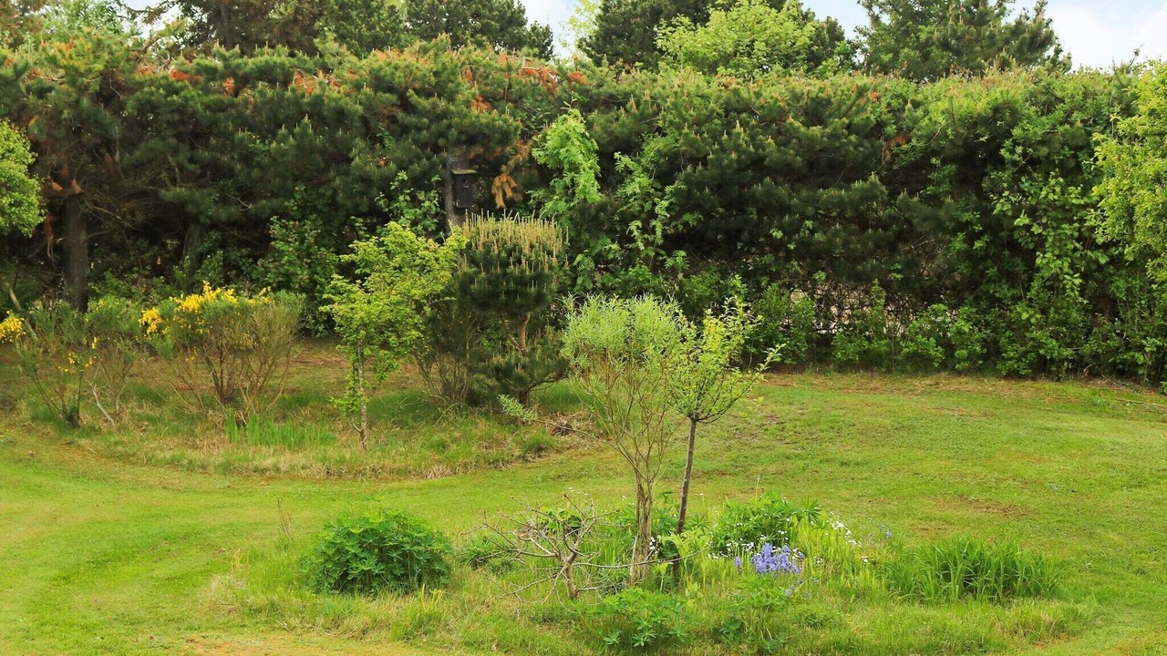 Photo of Outdoor in Helberskov Strand
