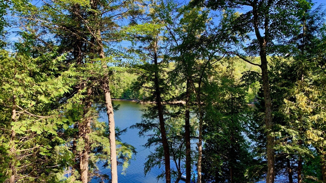 Photo of Others in Haliburton