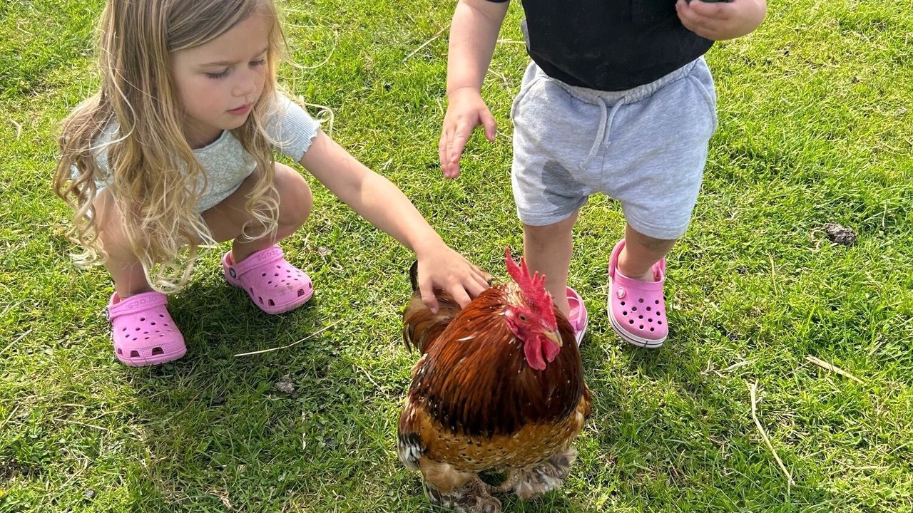 Photo of Others in Wisbech