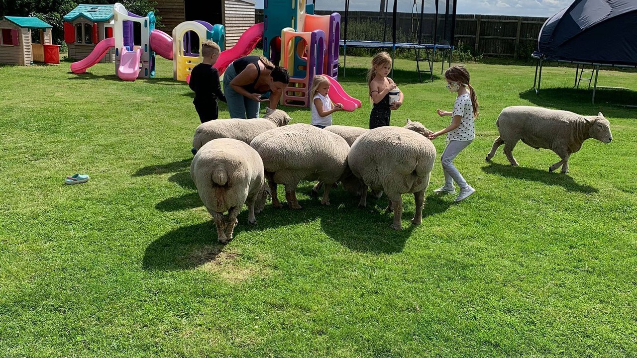 Photo of Outdoor in Wisbech