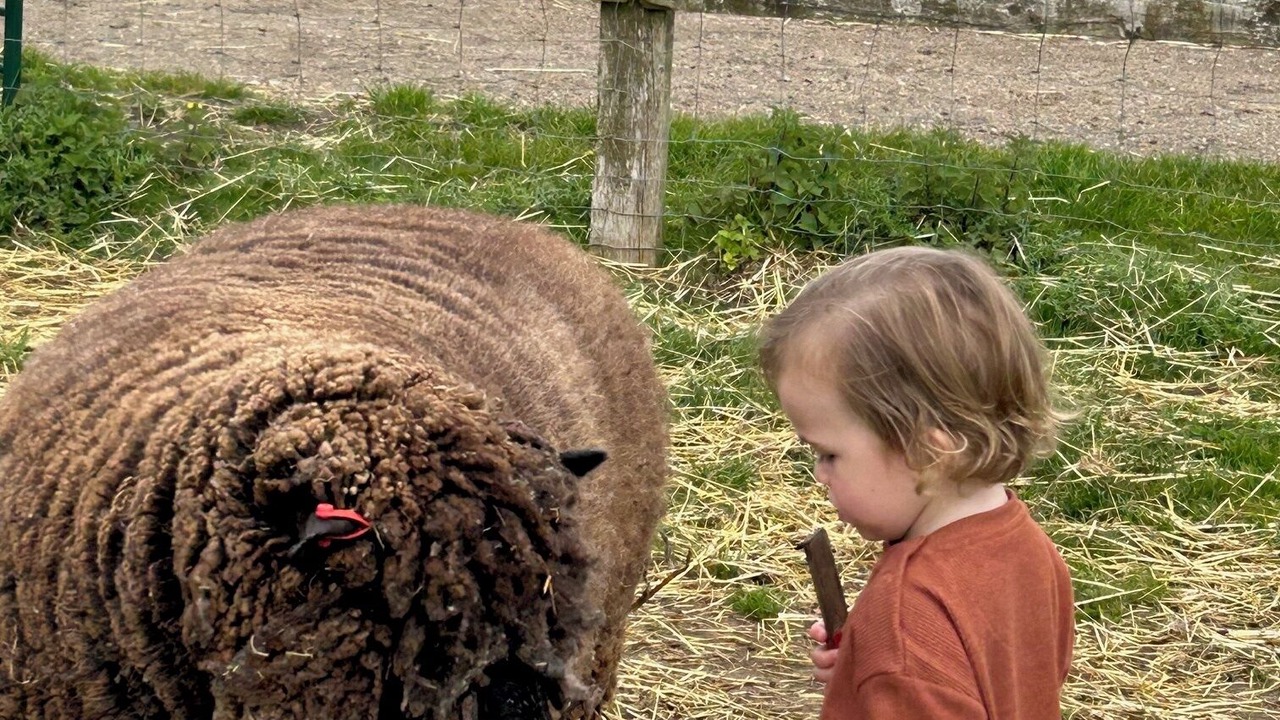 Photo of Others in Wisbech