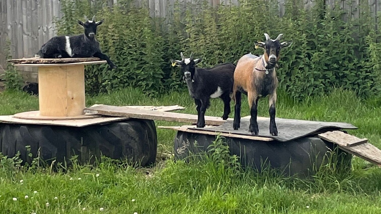 Photo of Others in Wisbech