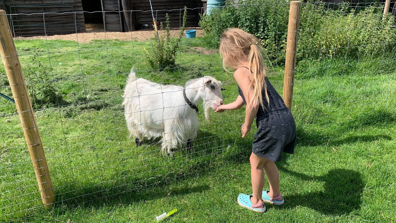 Photo of Outdoor in Wisbech