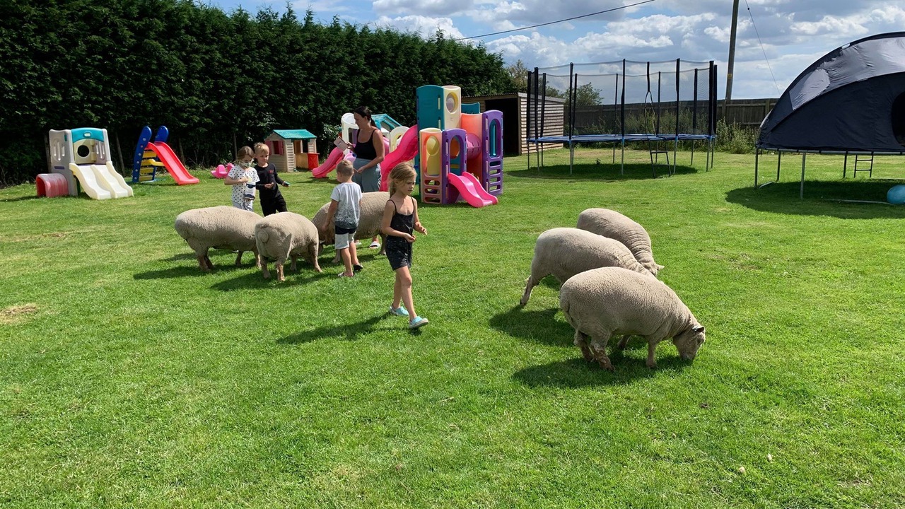 Photo of Others in Wisbech