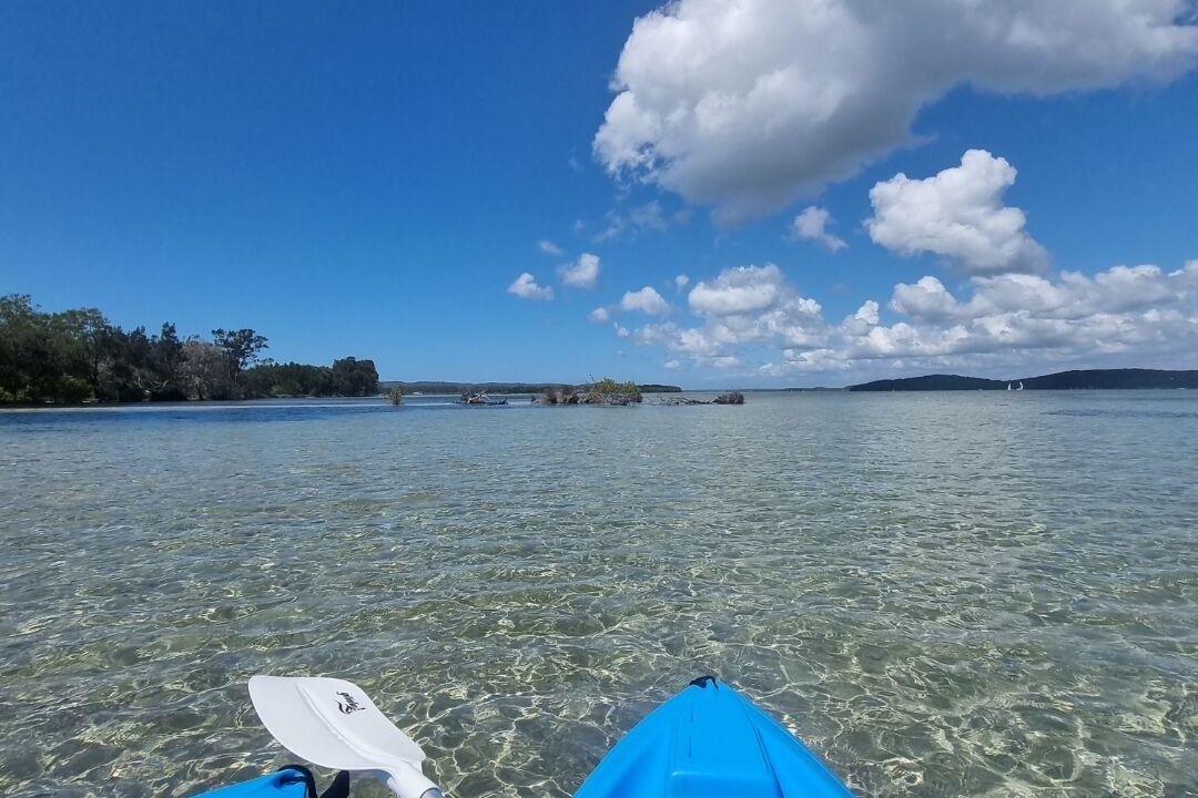 Photo of Others in Marks Point