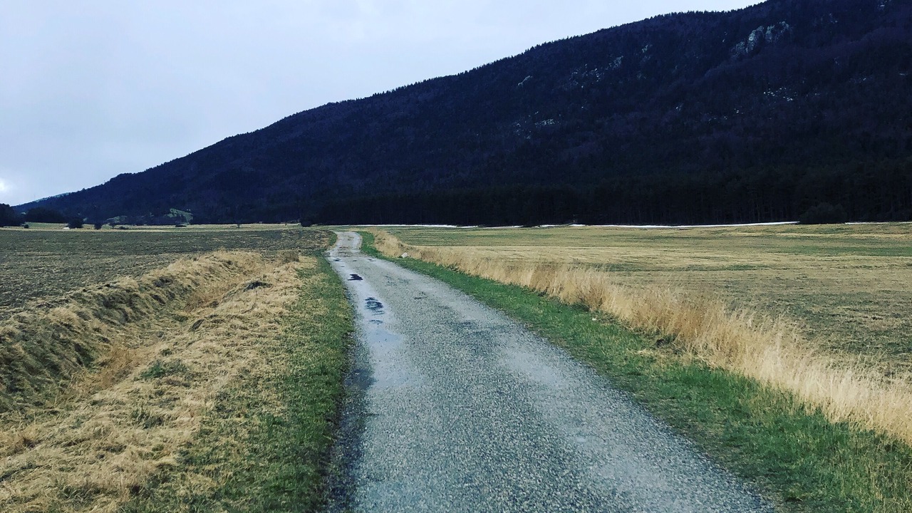 Photo of Others in Andon