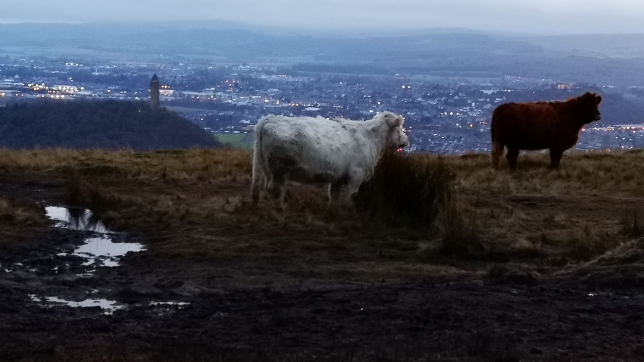 Photo of Outdoor in Auchengray