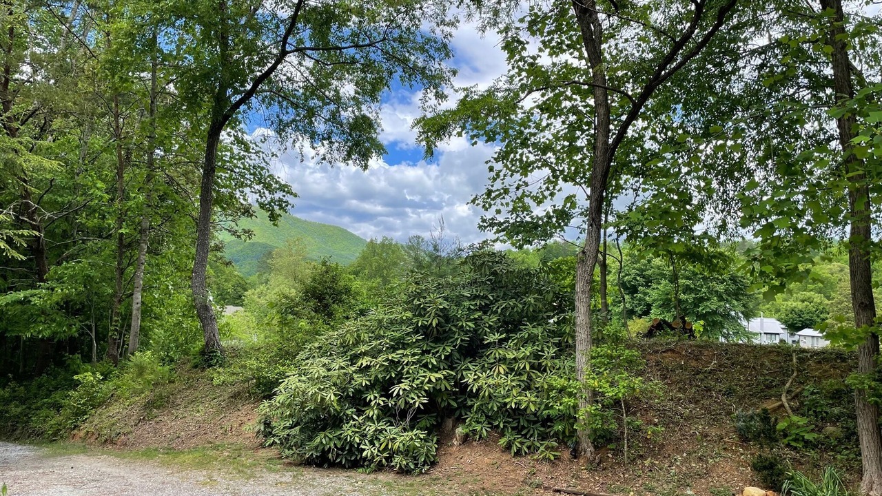 Photo of Others in Bryson City