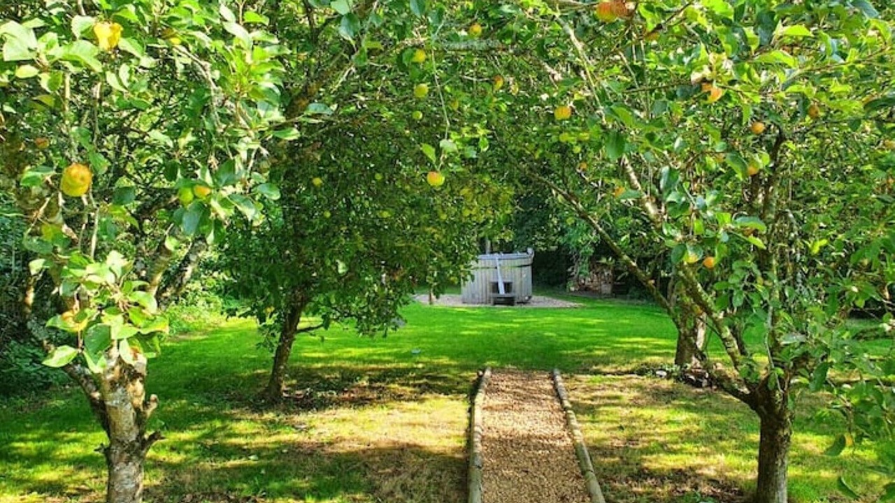 Photo of Outdoor in Saint Kew