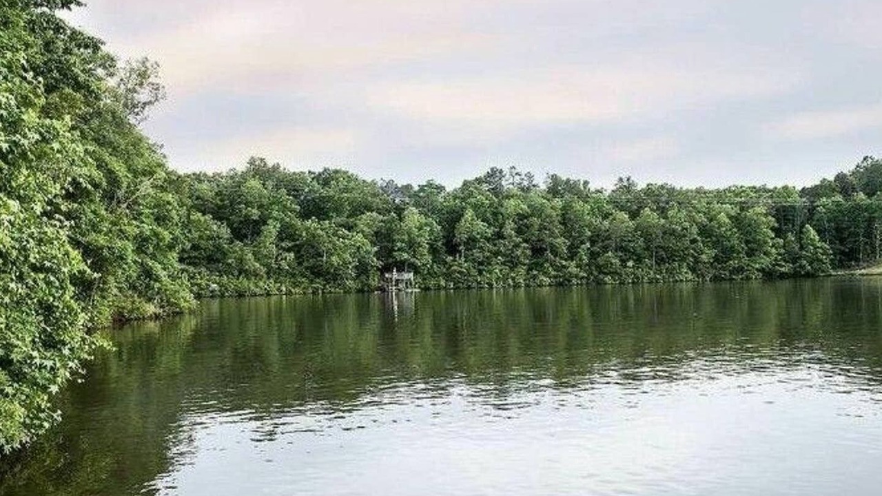 Photo of Others in Wedowee